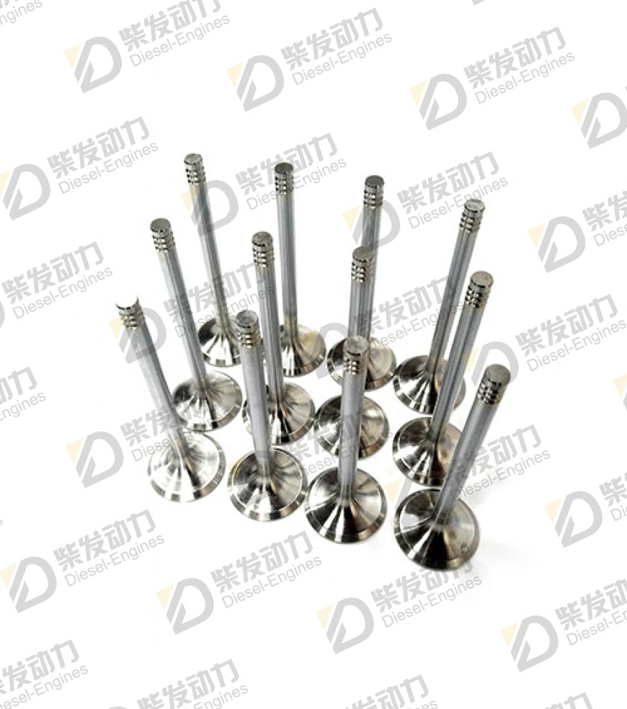 Exhaust valve 20798533 